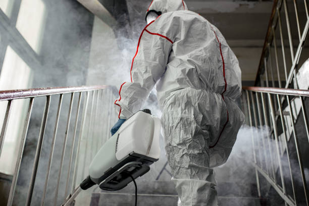 Why You Should Choose Our Mold Remediation Services in Tamaqua, PA